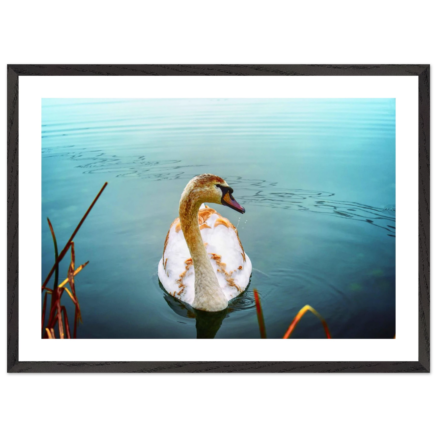 aa3d13ee-1710-4f2b-90ed-564395f9db74