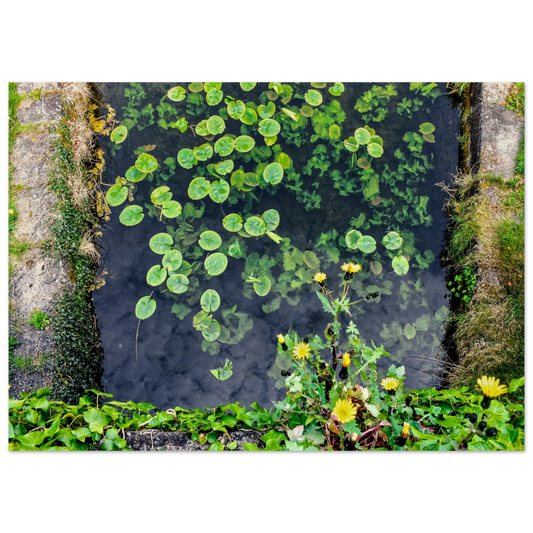 aa7cf709-24b7-4c84-acfc-51a460cccf2d