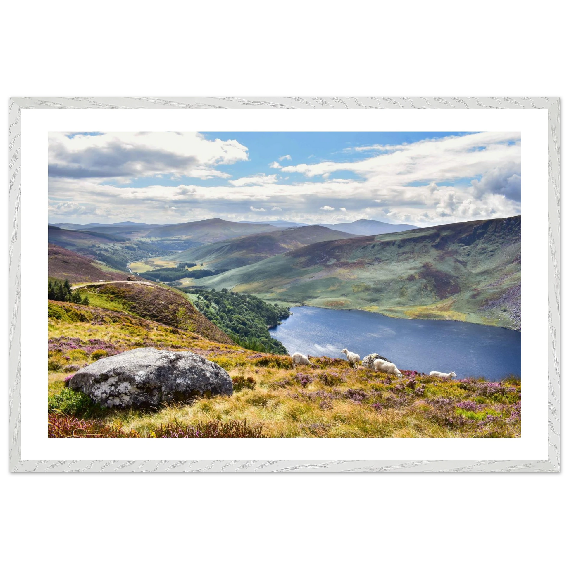 aa86b3ff-cbcb-4fa6-80cd-f1a6ab43a313