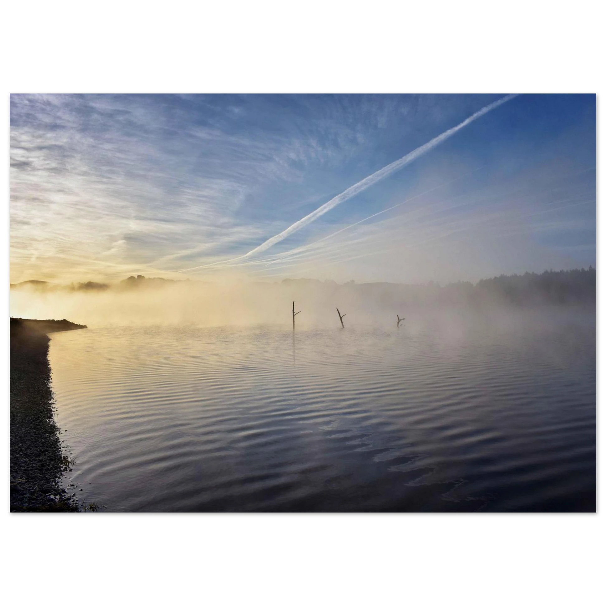 ab6dcd82-bb7e-46e0-9f19-0694d3831660