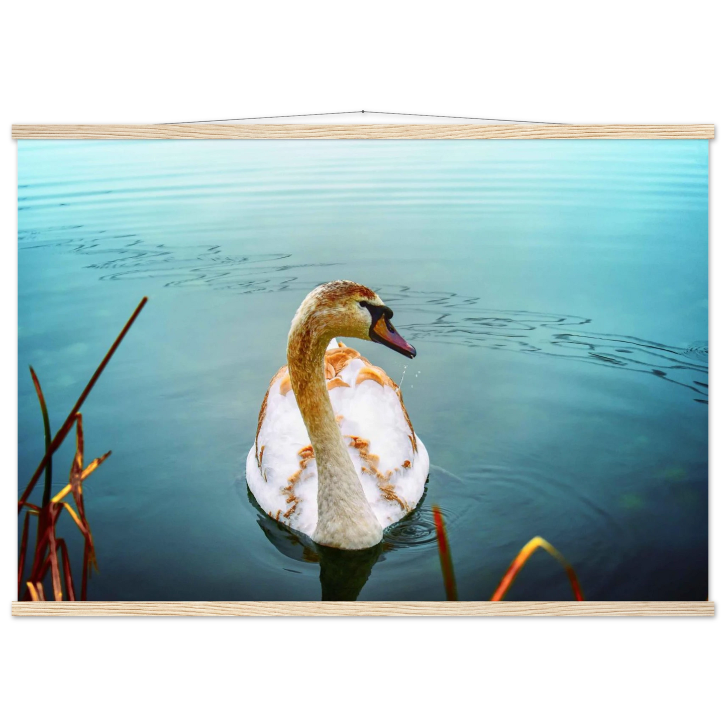 ab75672b-e520-4eb0-bab5-7a6324e4ca2c