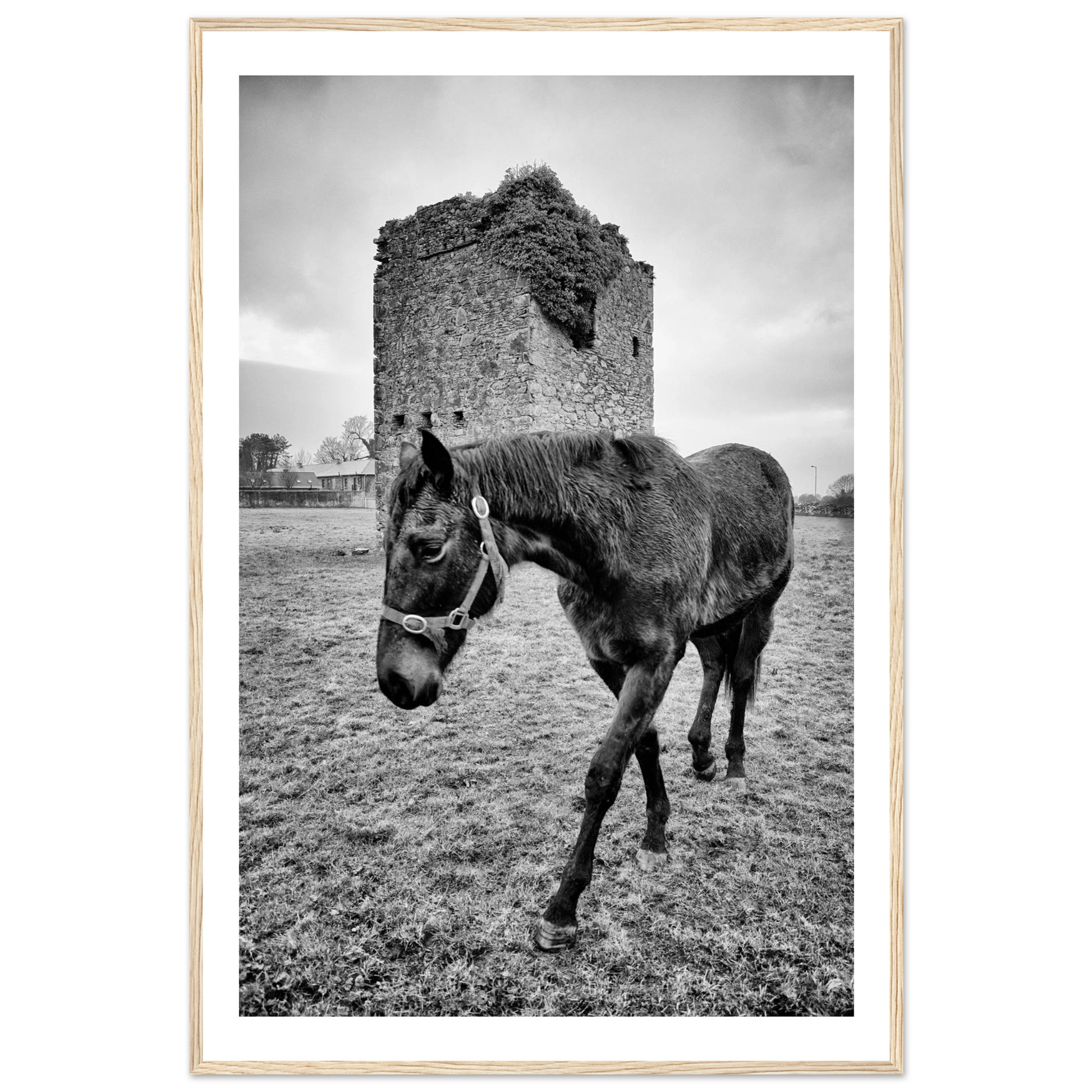 abaf56b5-d8c7-4263-a06e-4c2c3d9b1498