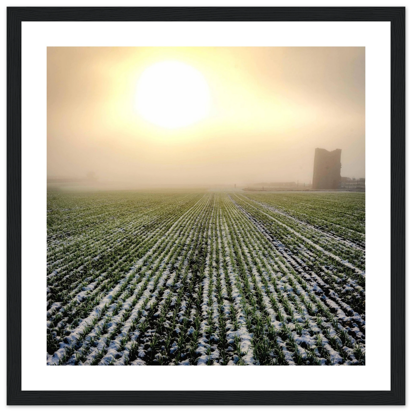 abce6e9b-e0e4-431e-8fd4-410879a84ba9