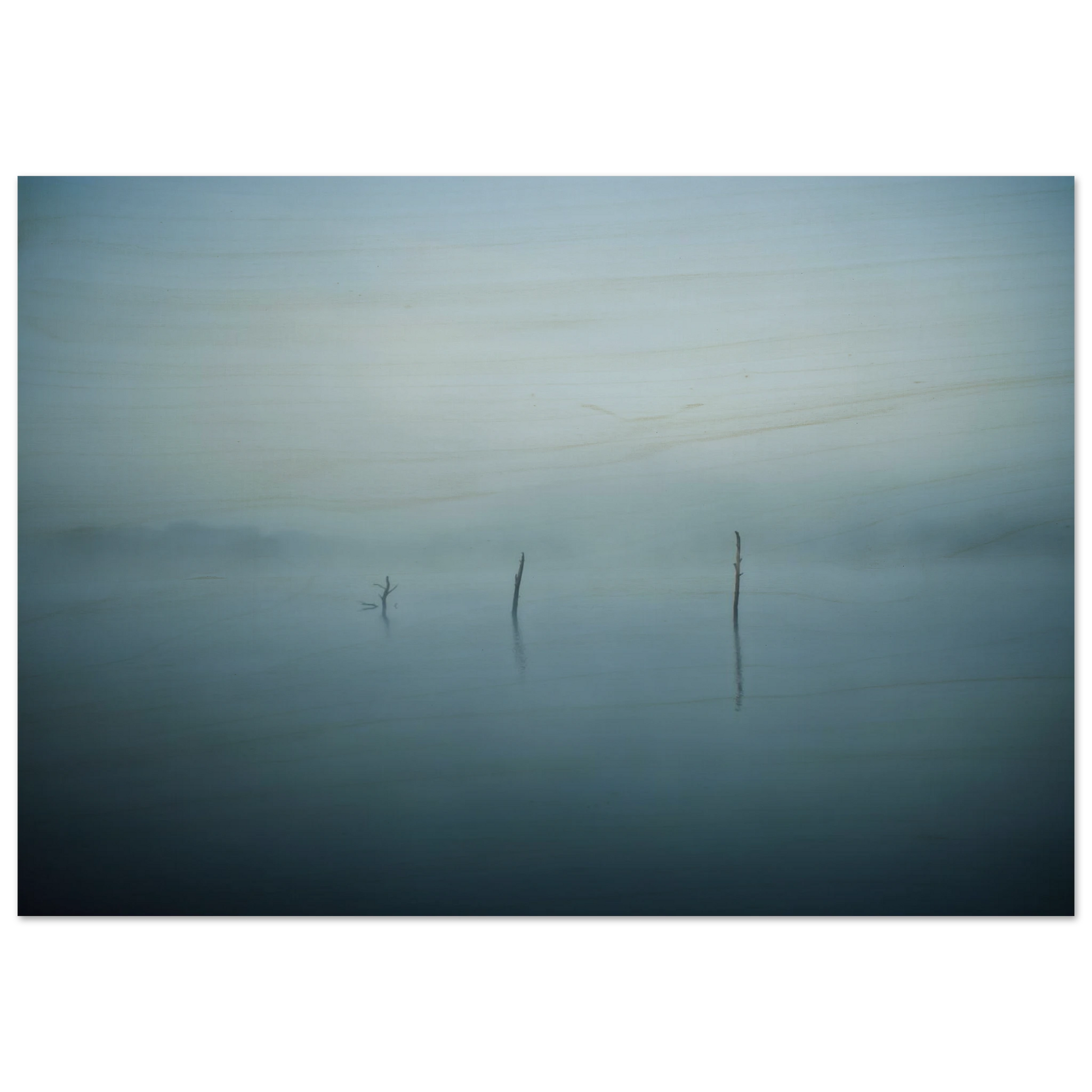 abd0701d-892b-4ba3-a836-34ab5ecf1b3d