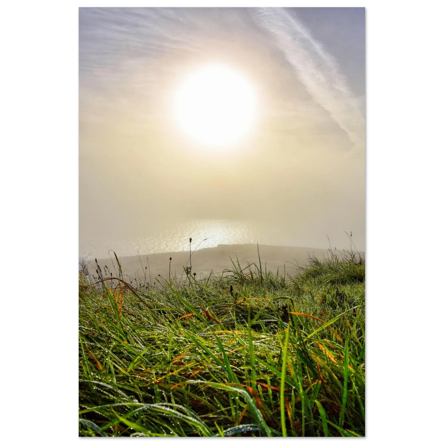 abf41004-7d7e-40d3-904e-f4354953ca49