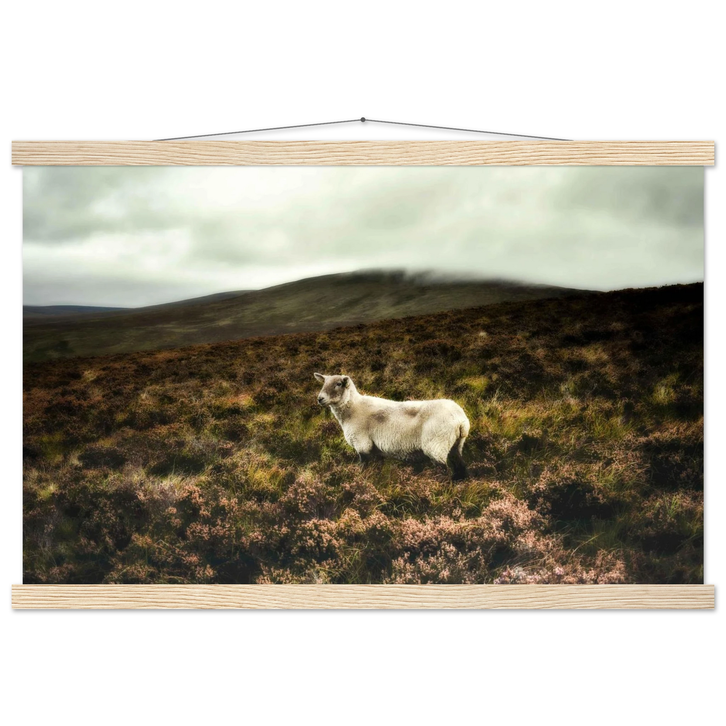 ac0eff13-2008-4519-ab4b-dad231912648