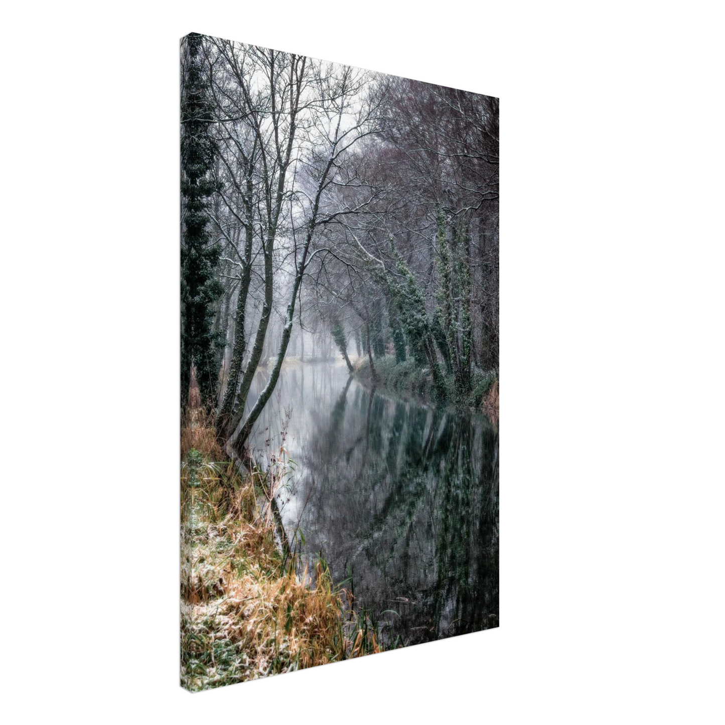 ac2d9bac-b423-4325-a586-aaf38a801960