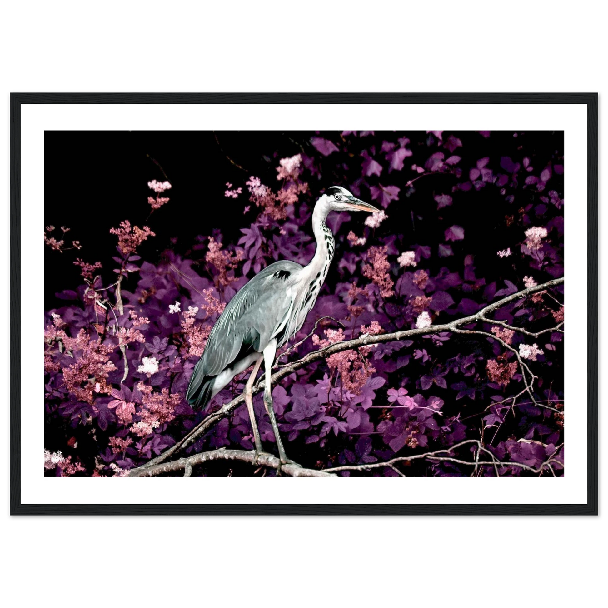 acaea8f3-9bbf-4406-b63f-178dcdf2198a