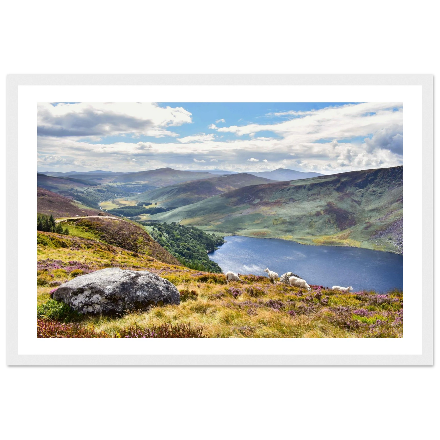 accb0656-c22c-49c5-aeb7-92f209da7a61