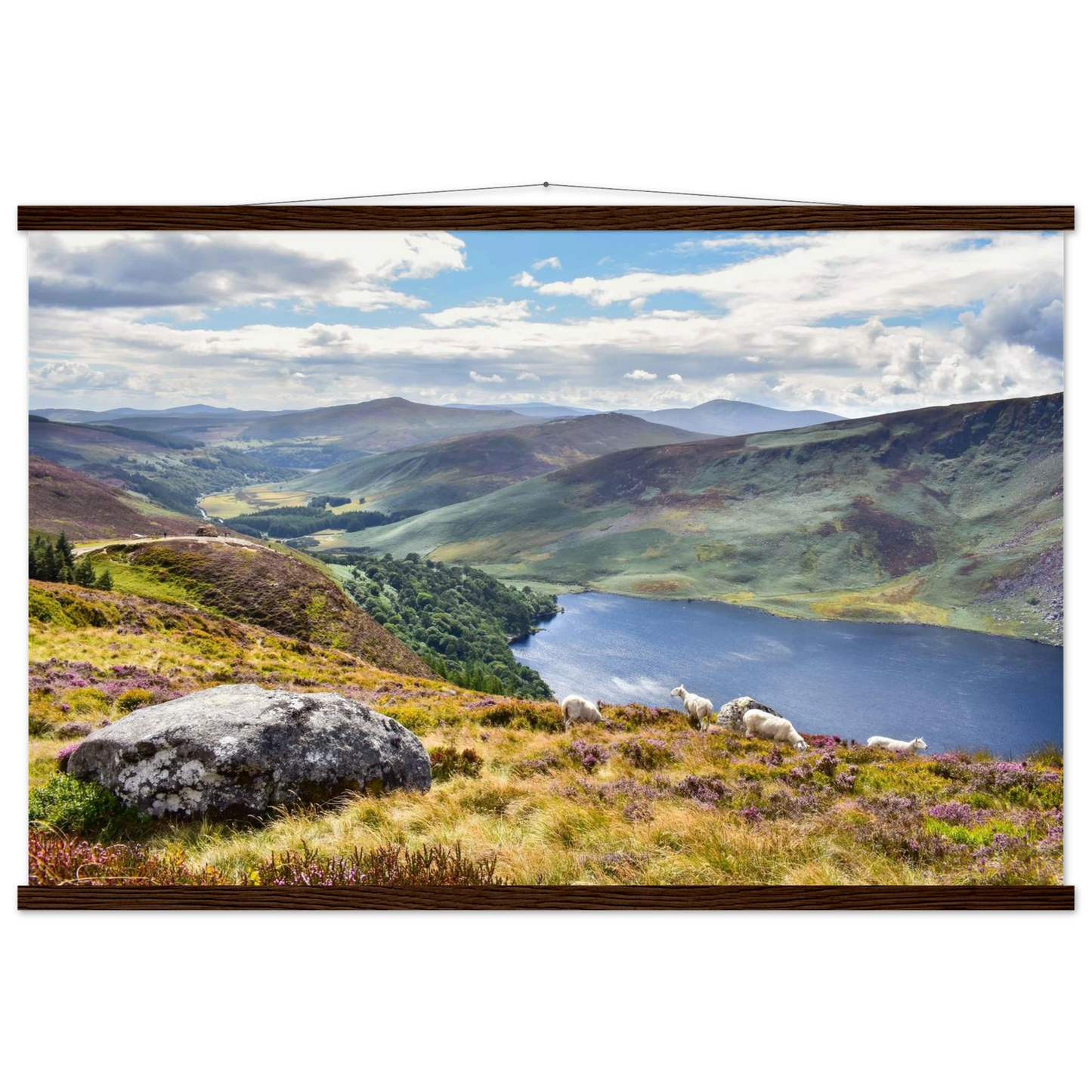 ad1c4759-81ca-4ff6-af1b-3939f8eabfab