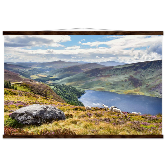 ad1c4759-81ca-4ff6-af1b-3939f8eabfab