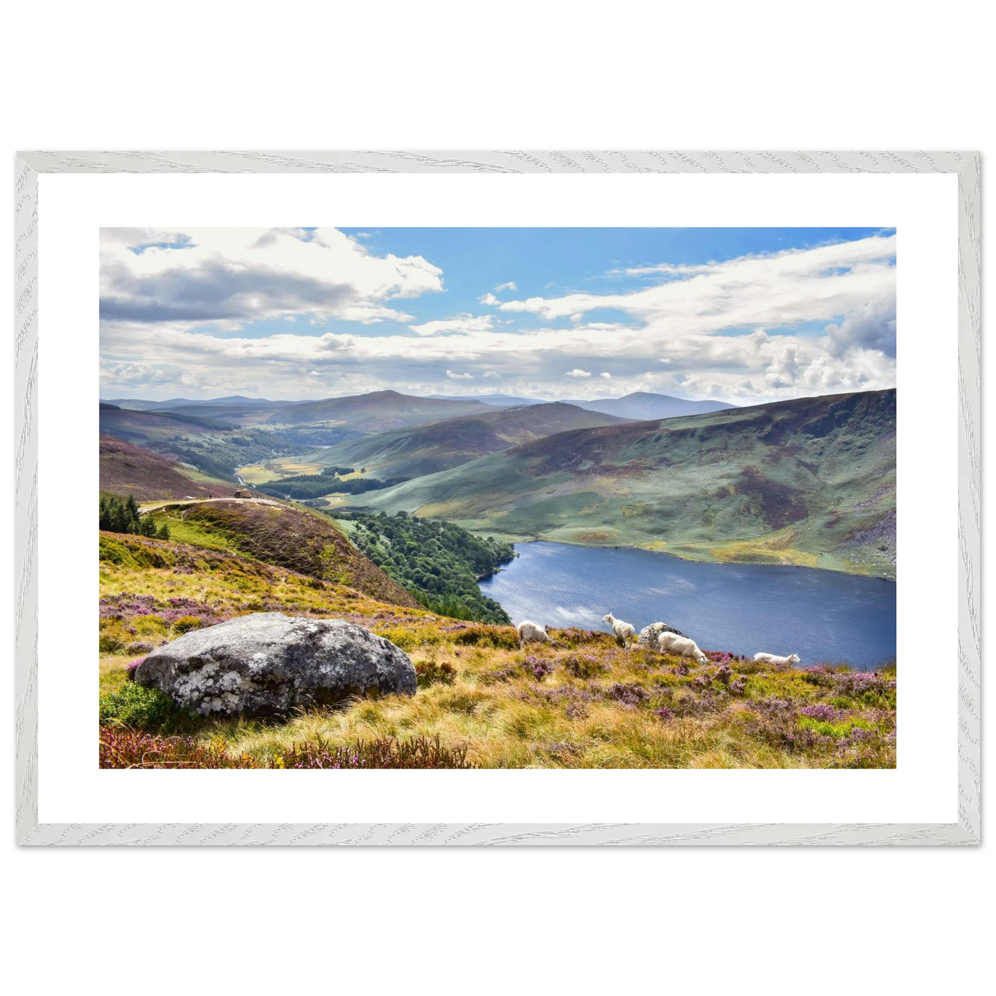 ad1c853e-b52a-4a04-9819-ae49e1bd4fb0