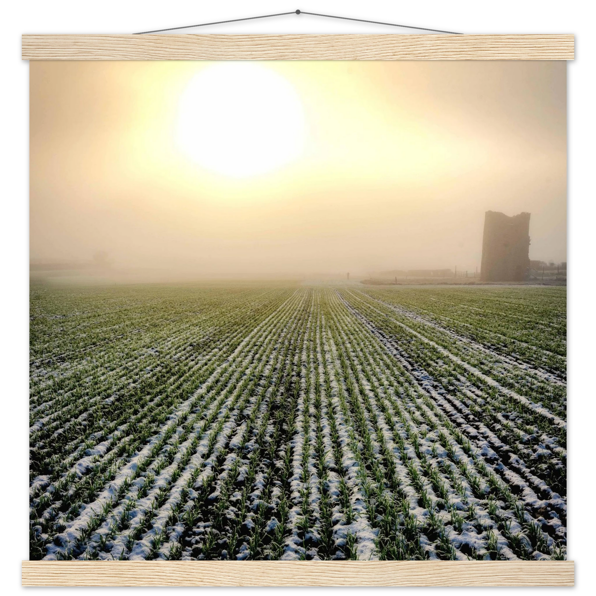 ade82669-0d59-424c-948d-171192149860