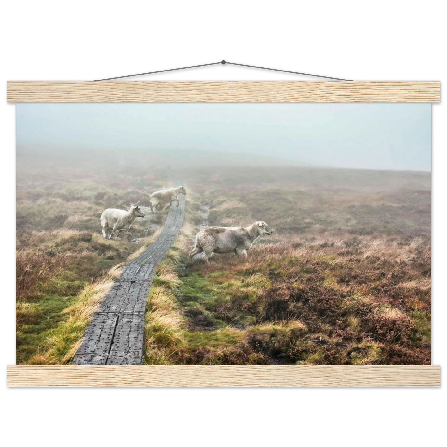 aec04cdb-dd1b-4c85-b172-e7eae4b2b16c