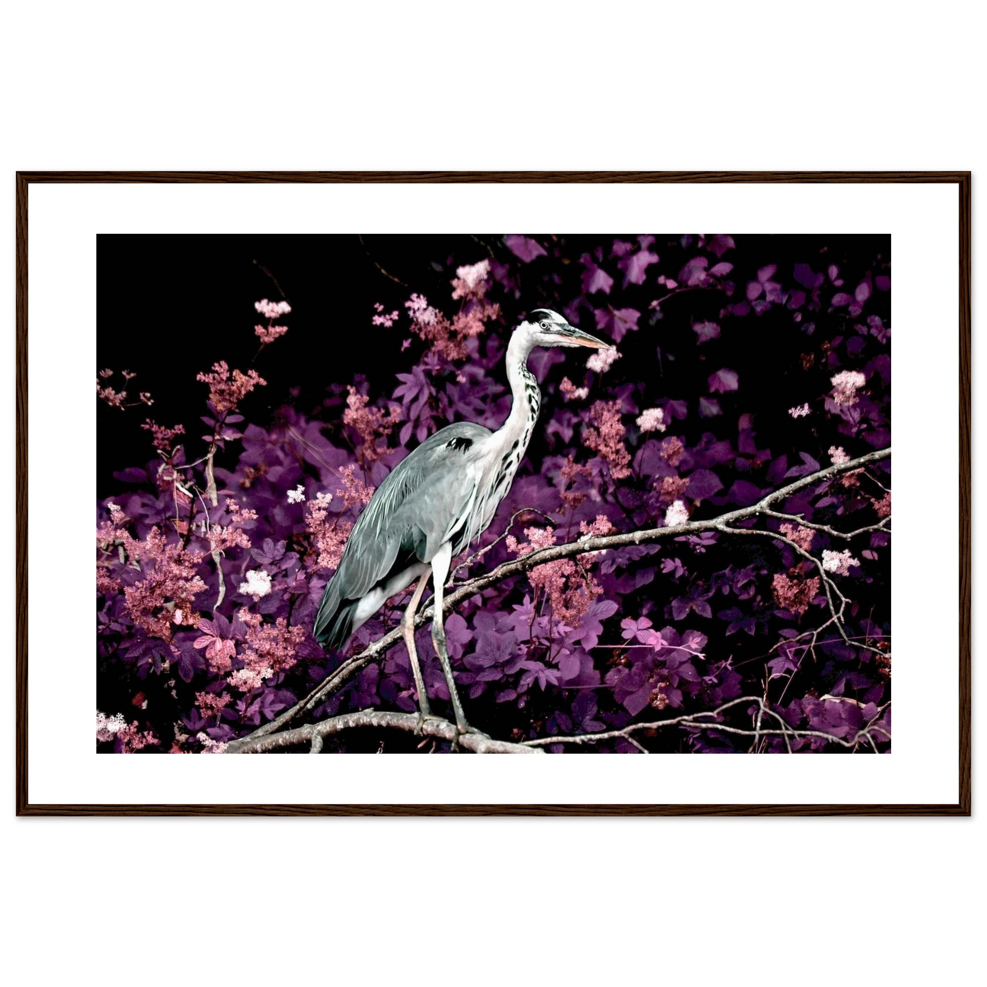 aec2e6dc-487c-4705-9de5-a38486144bc6