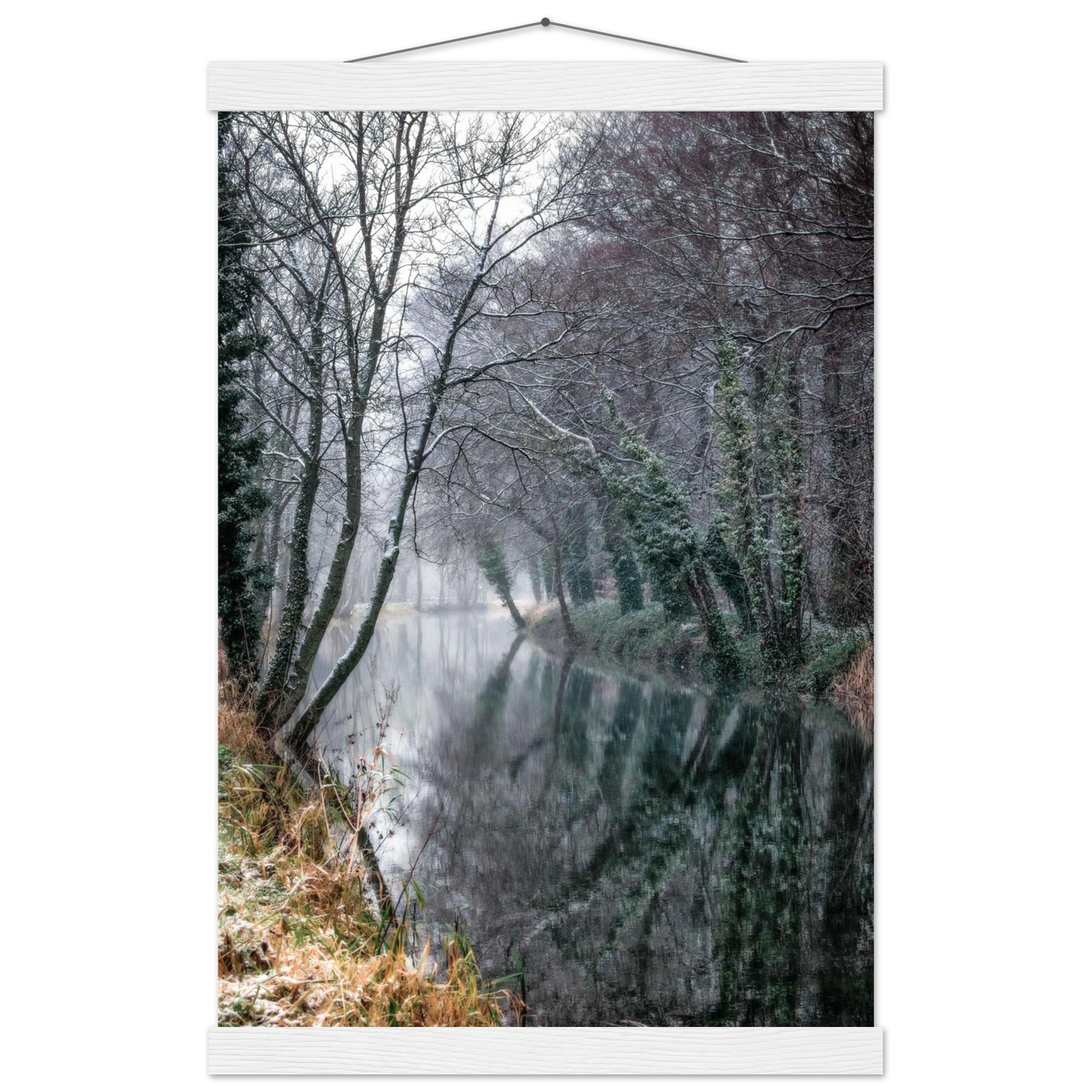 af17d835-dbfa-4d02-ab02-317642a891cd