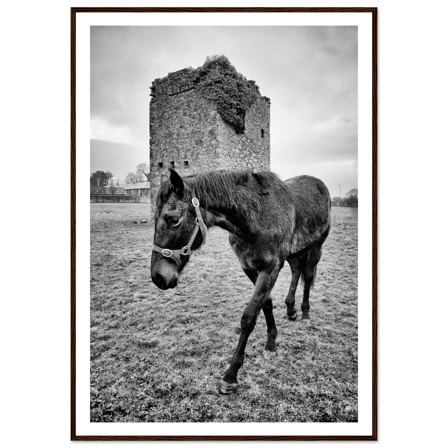 af7f9118-8d37-43f1-967a-9be890b9252e