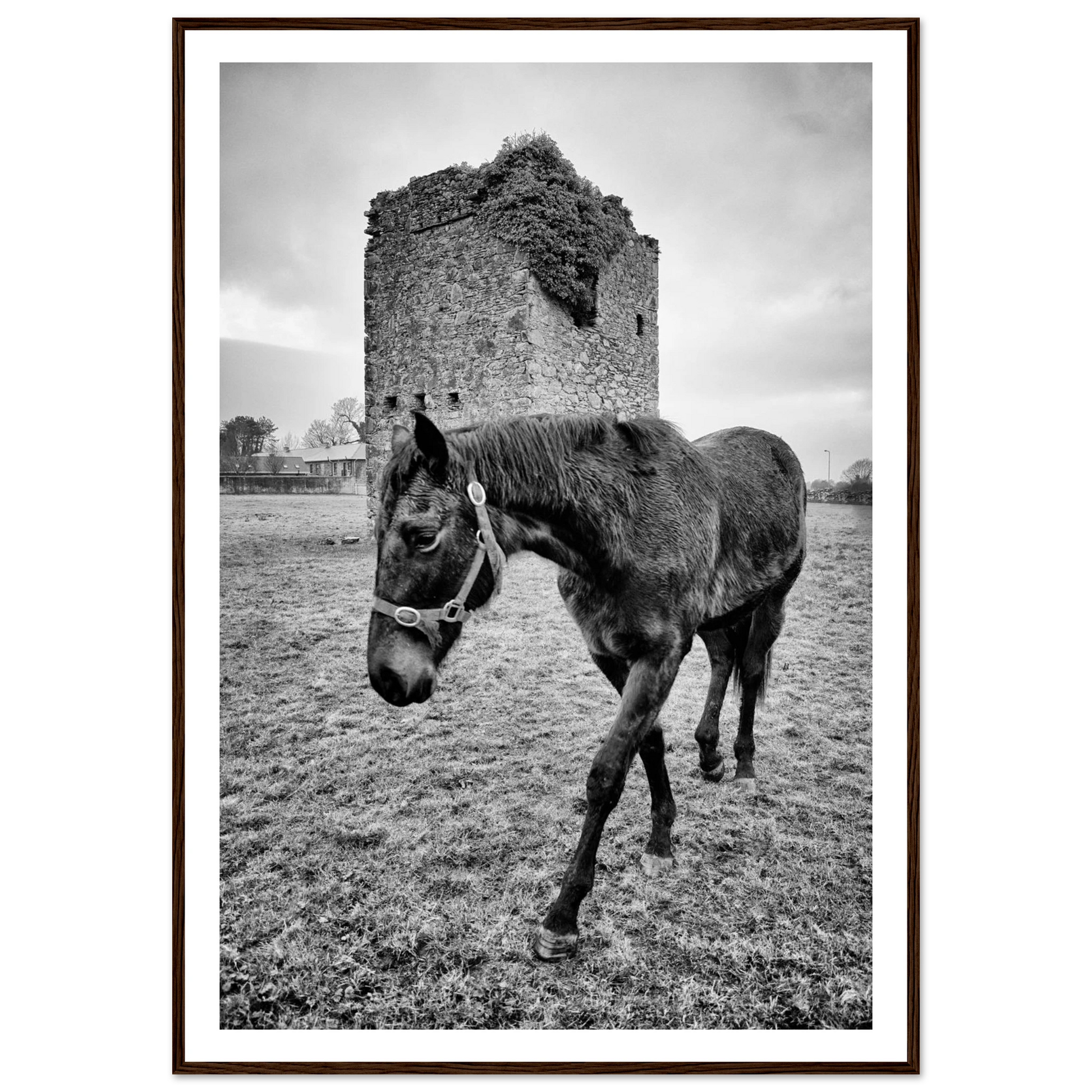 af7f9118-8d37-43f1-967a-9be890b9252e