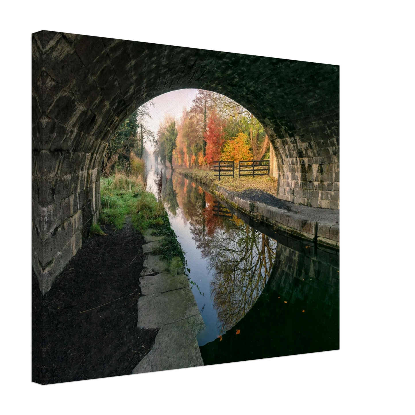 af7fbb21-dd3a-423d-bccc-d59d387bf1f1