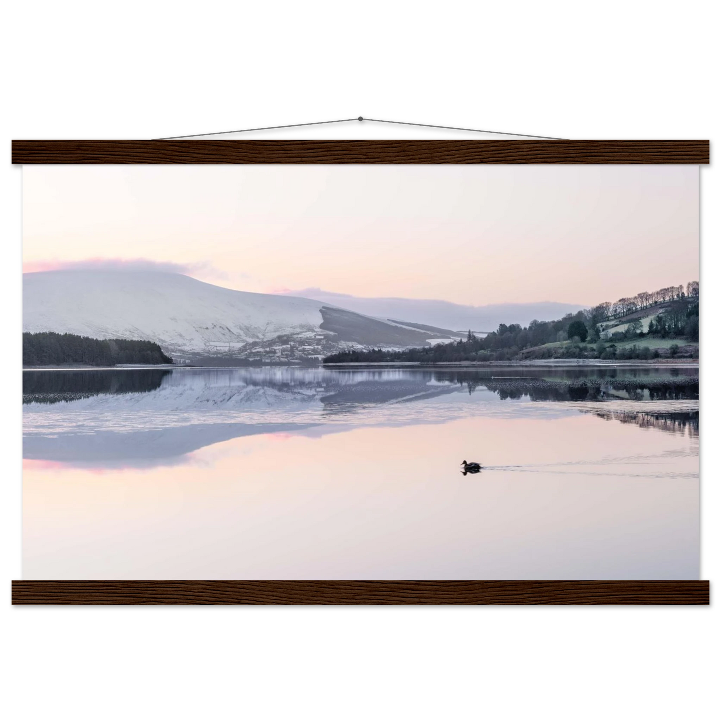 b090dcd8-8fea-4e6c-8258-da368ee4c2d1