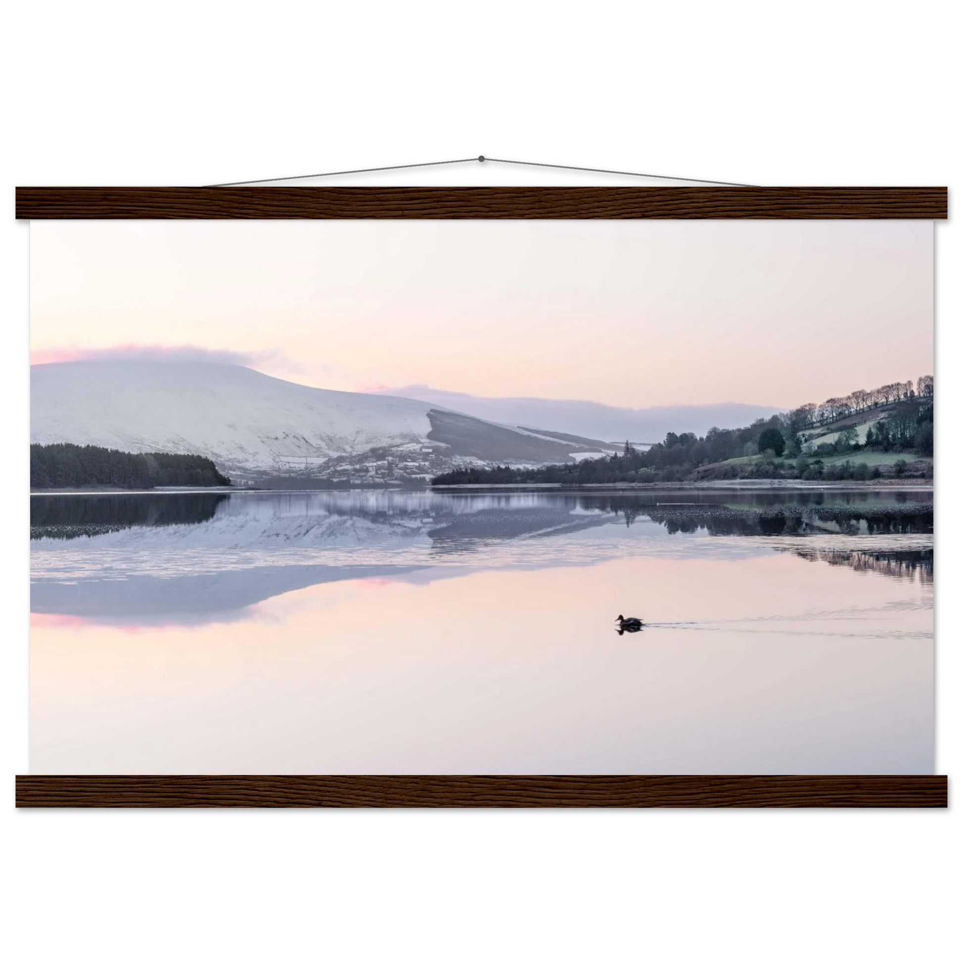 b090dcd8-8fea-4e6c-8258-da368ee4c2d1