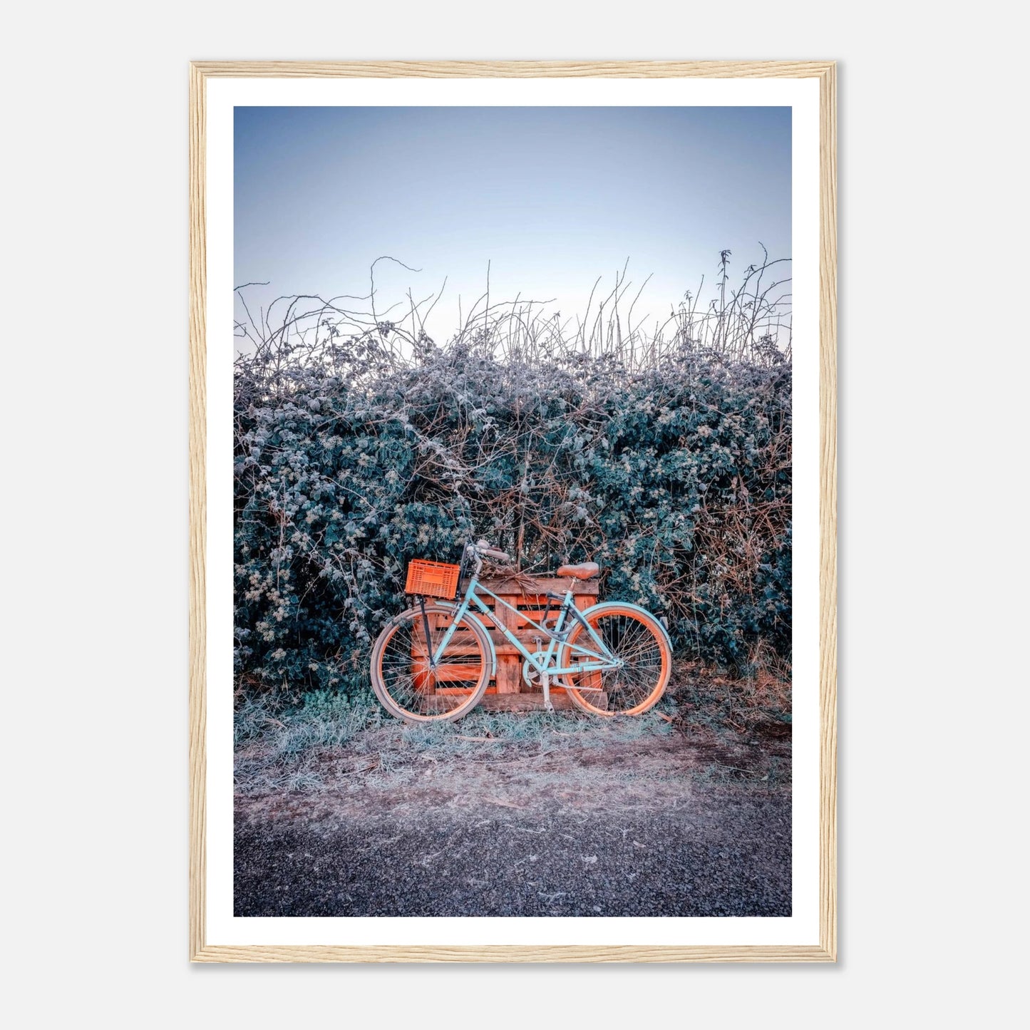 b0ae01b8-3b2b-407a-b8b4-a3e5d8608a82