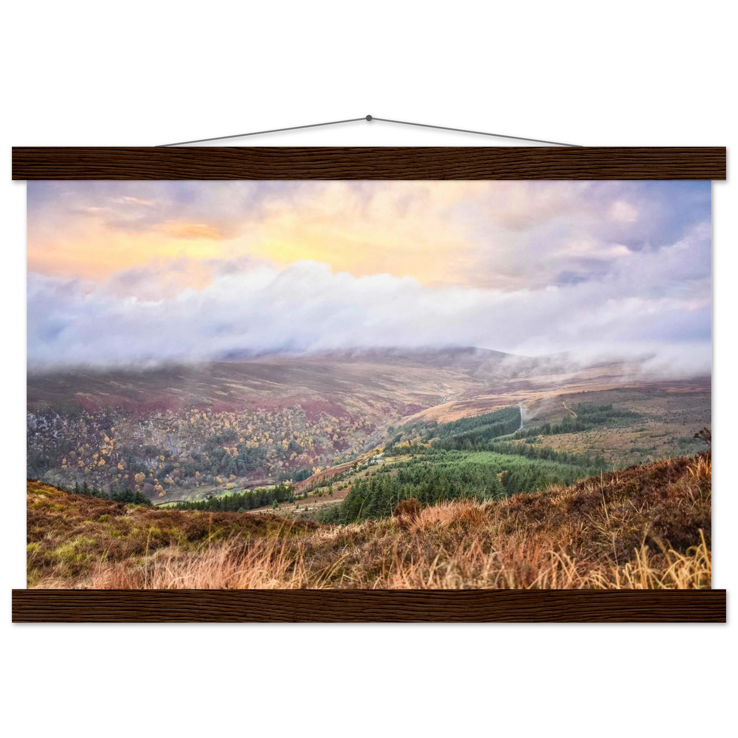 b14cfaef-535b-4b23-9b48-ab3d3dd39596