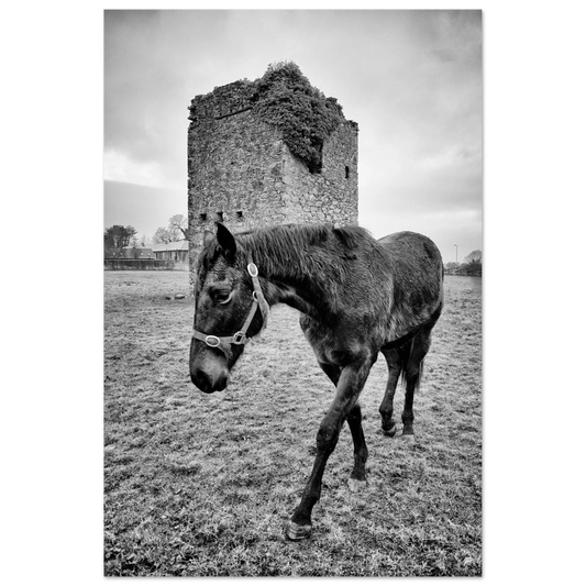 b169f81c-9c39-4f85-8f43-08afdc11f656