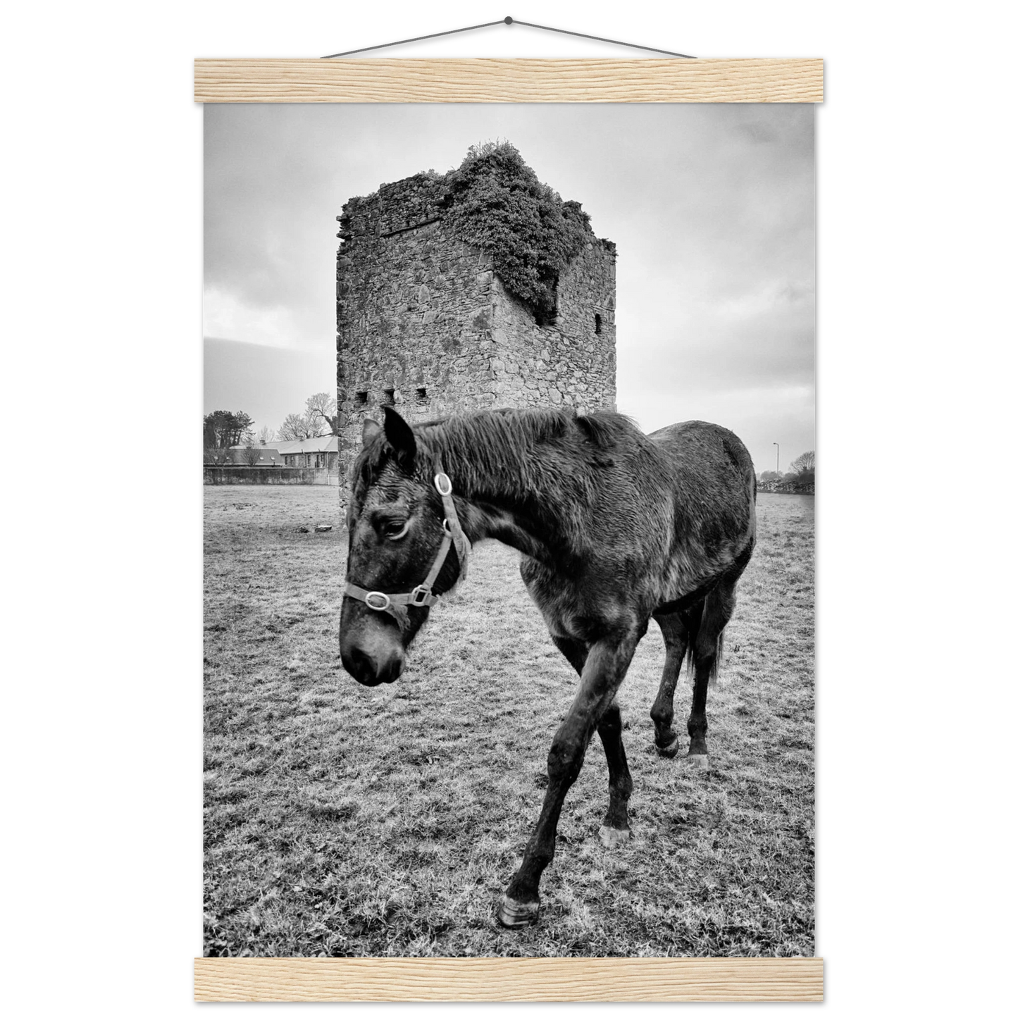 b1714298-6350-43c0-b08a-1cc0bad89df5