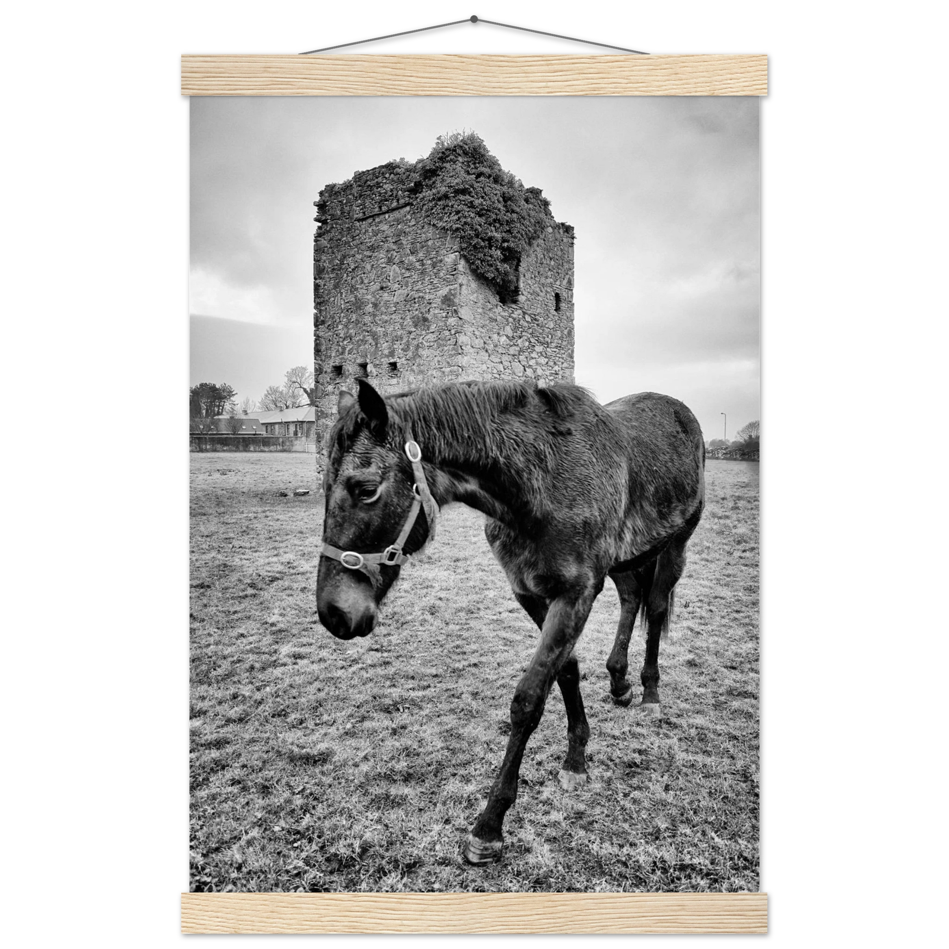 b1714298-6350-43c0-b08a-1cc0bad89df5