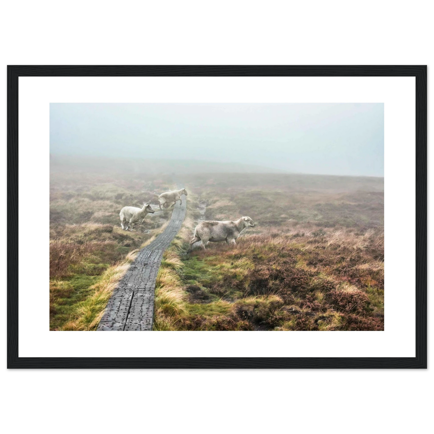 b184e997-3673-47da-a8b2-c88f9825e806