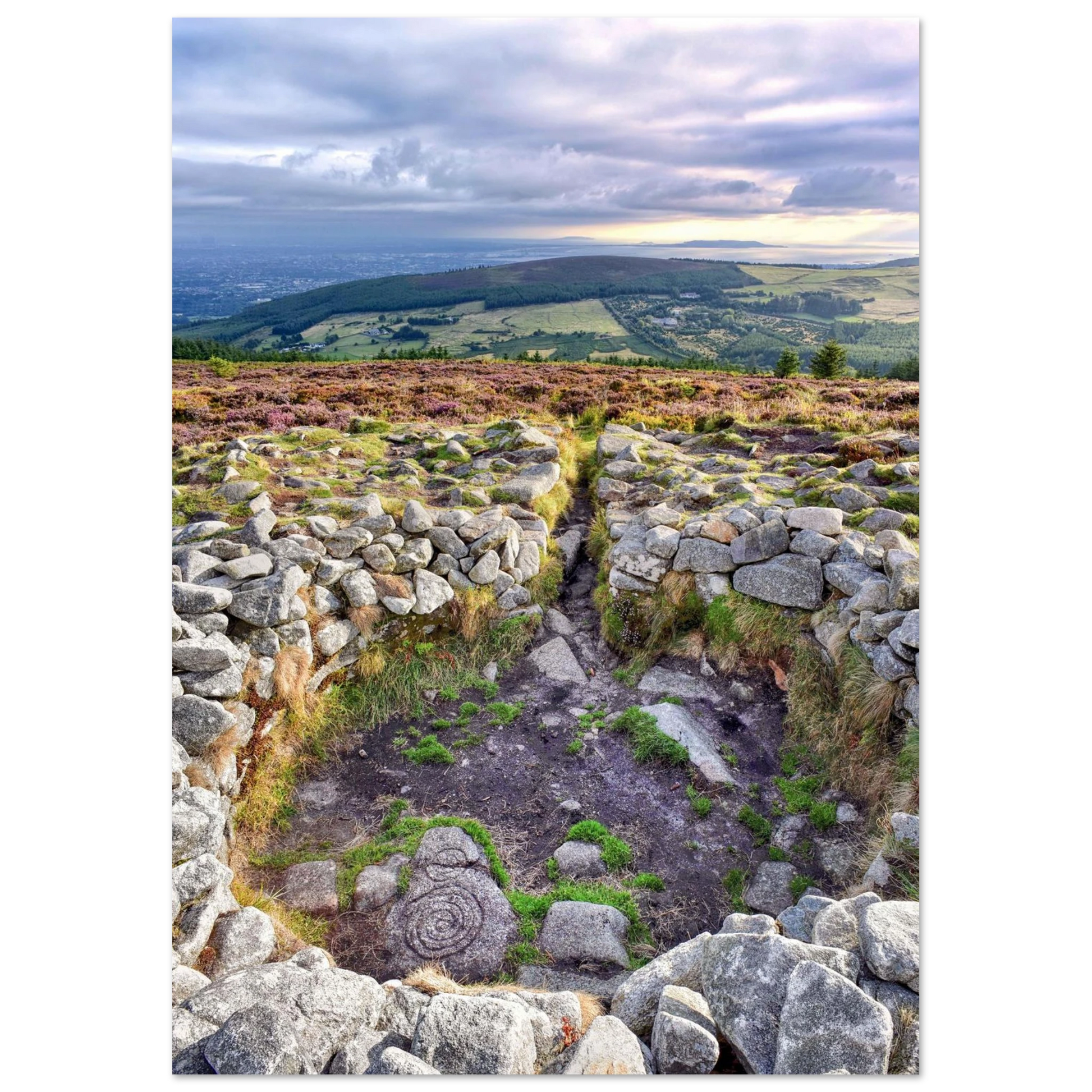 b1a46082-69f4-4c2d-b0b1-7c0d002b4338