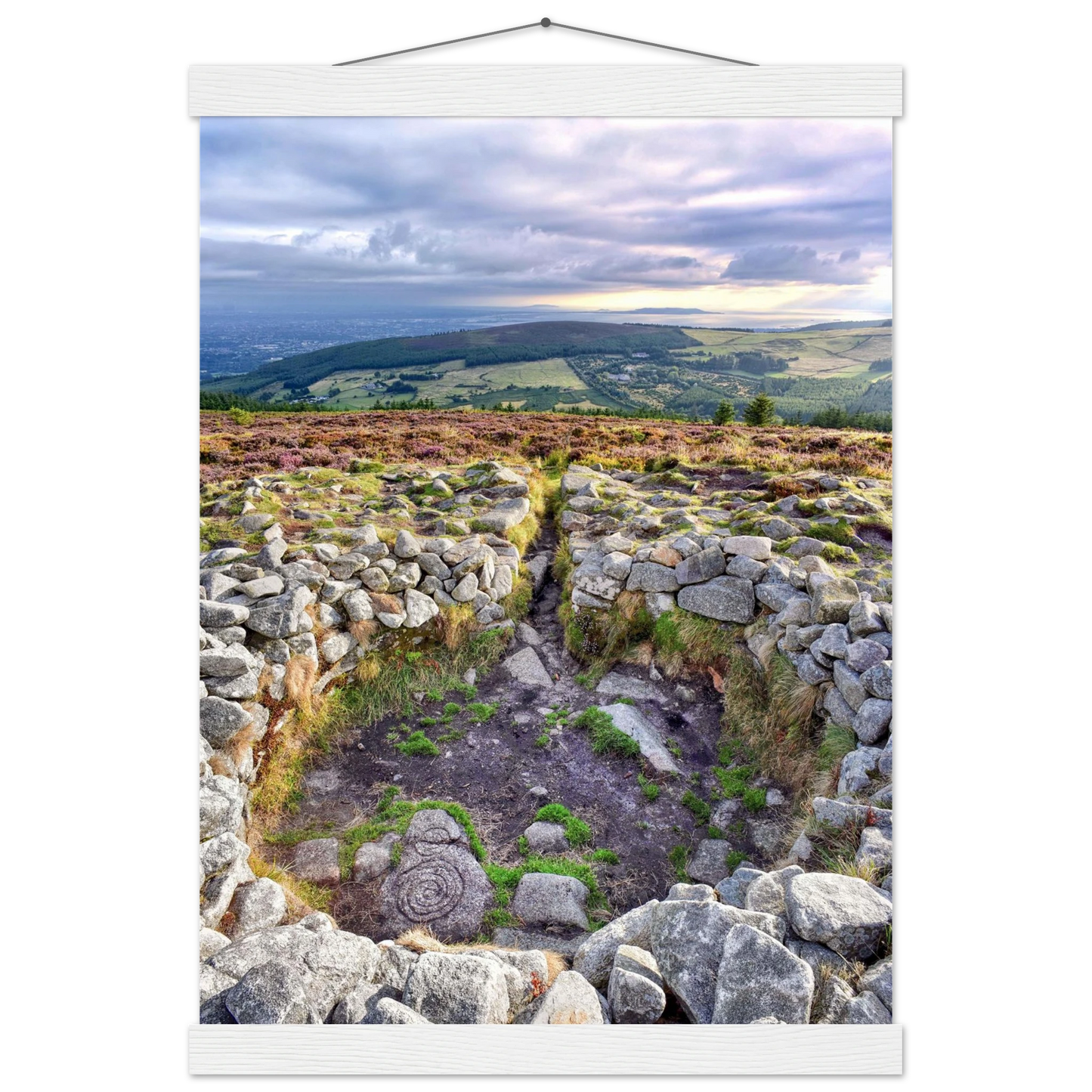 b1c53c46-af30-48fb-99b4-d858b60766c0