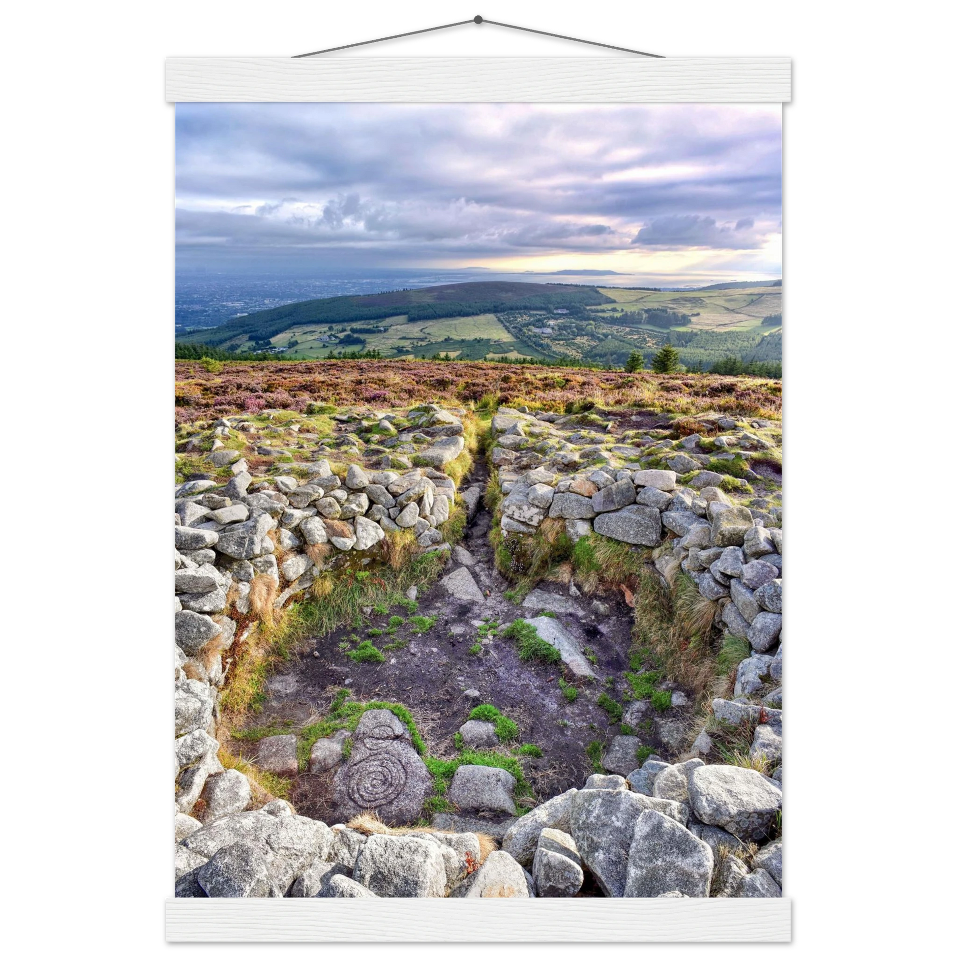 b1c53c46-af30-48fb-99b4-d858b60766c0