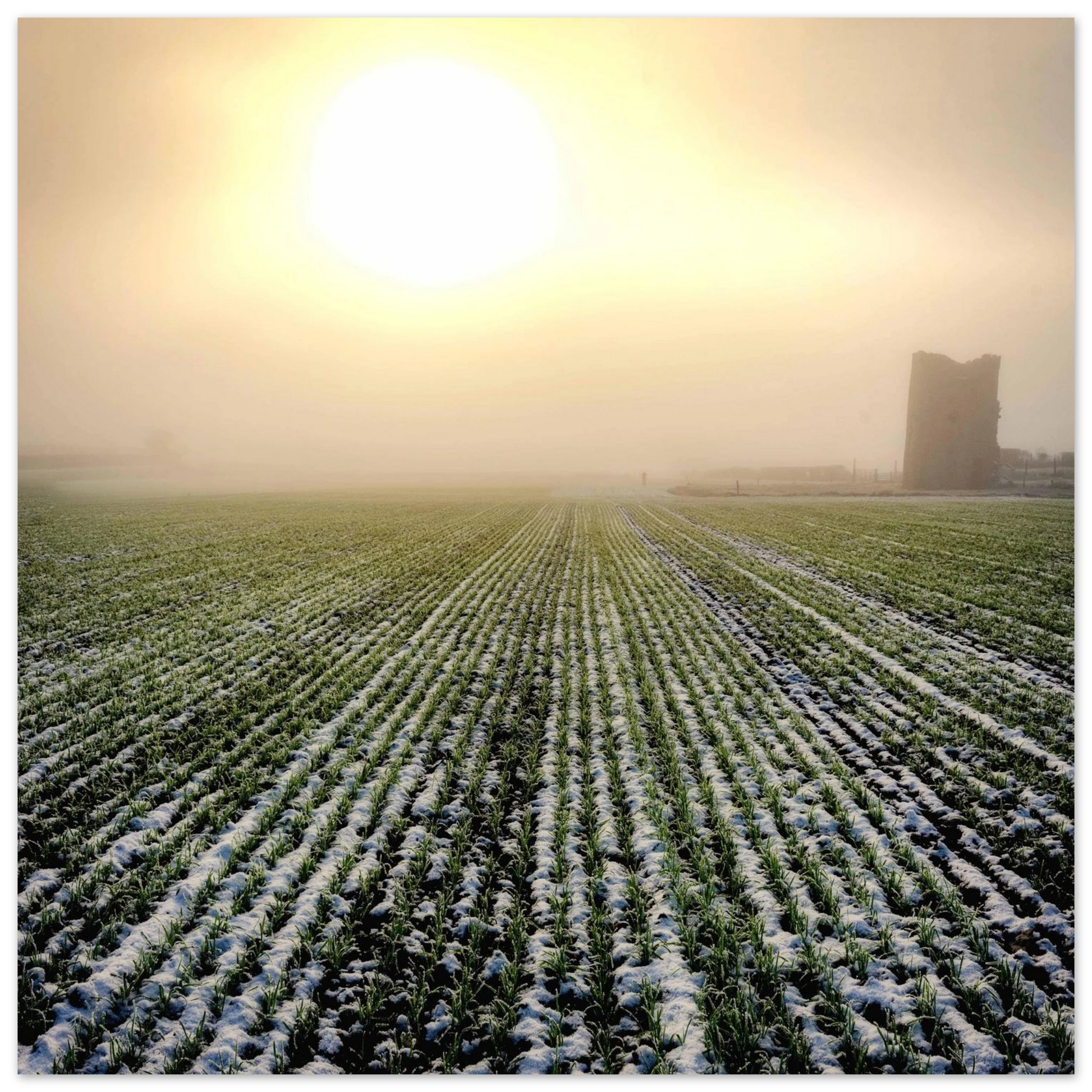 b1c770f2-3aa9-4215-a4c6-201d49d8ecbd