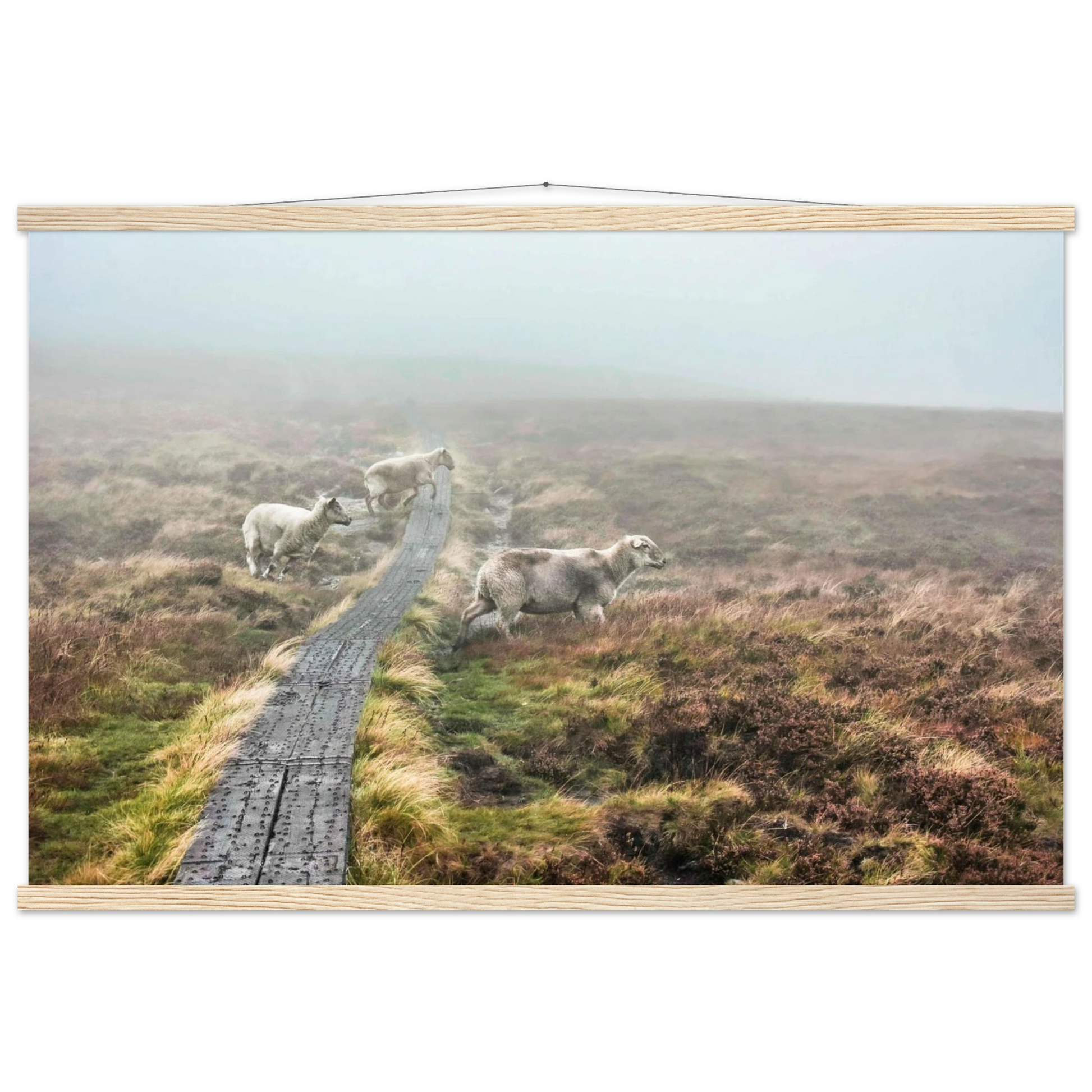 b1cf3e37-fe43-4d9f-9959-7d2c76dd8594