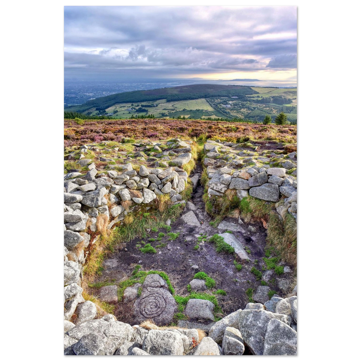 b3406287-ae09-4273-8ef8-22d04ef78470