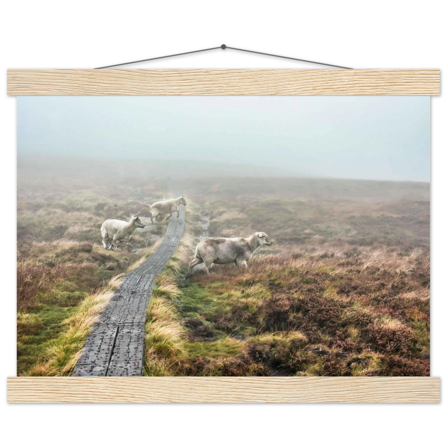 b34e774c-f892-4103-adf3-9ffd8541ea3e