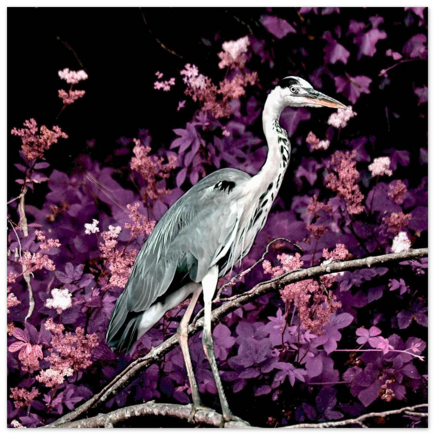 b355f310-aacb-4437-b4cb-604edf6cfb90