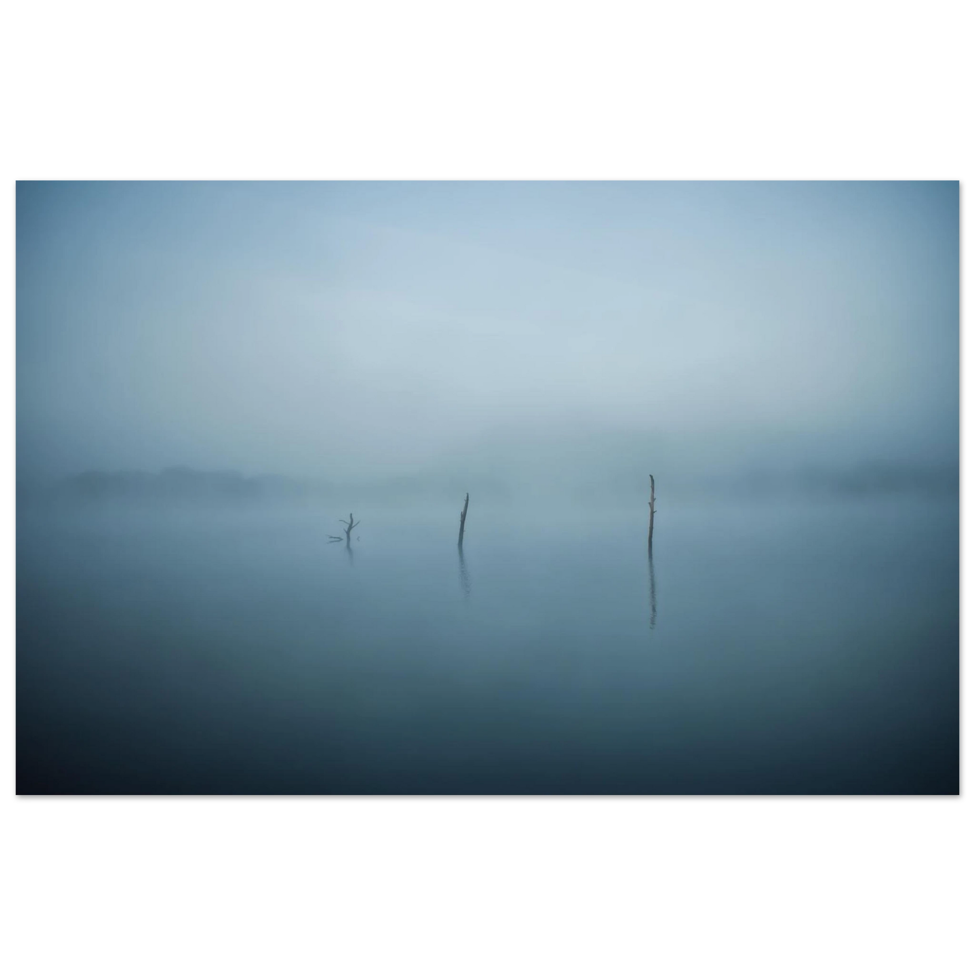 b381503a-9804-4f09-bcb1-0f73b24b1416