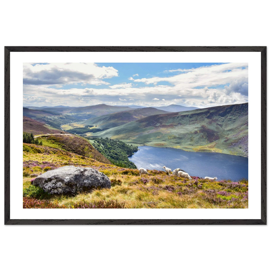 b388f491-9bf8-4820-9277-caf3d9663914