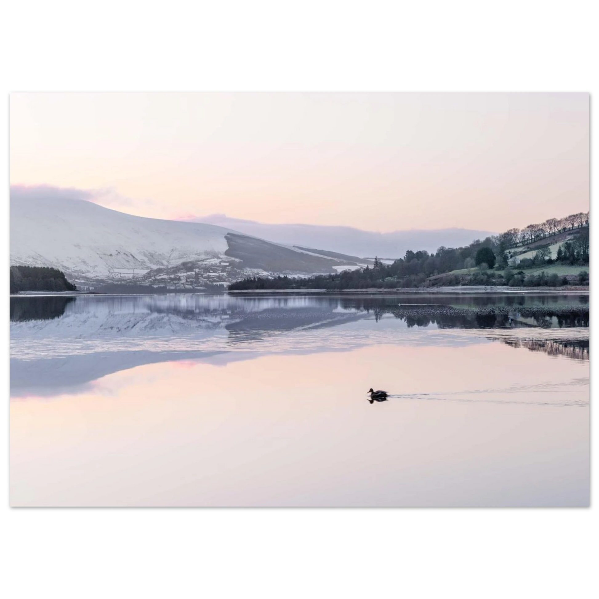 b397794e-944b-4966-8d8d-c68d70832e5d