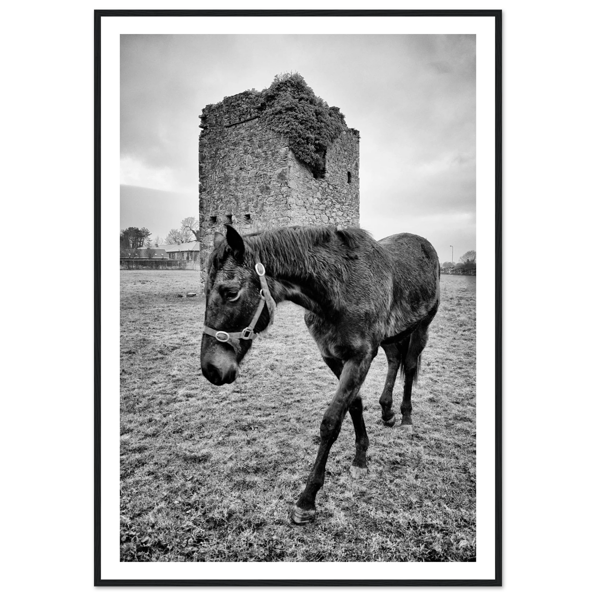 b3eadd39-0c3f-43be-a26e-a762ae32a805