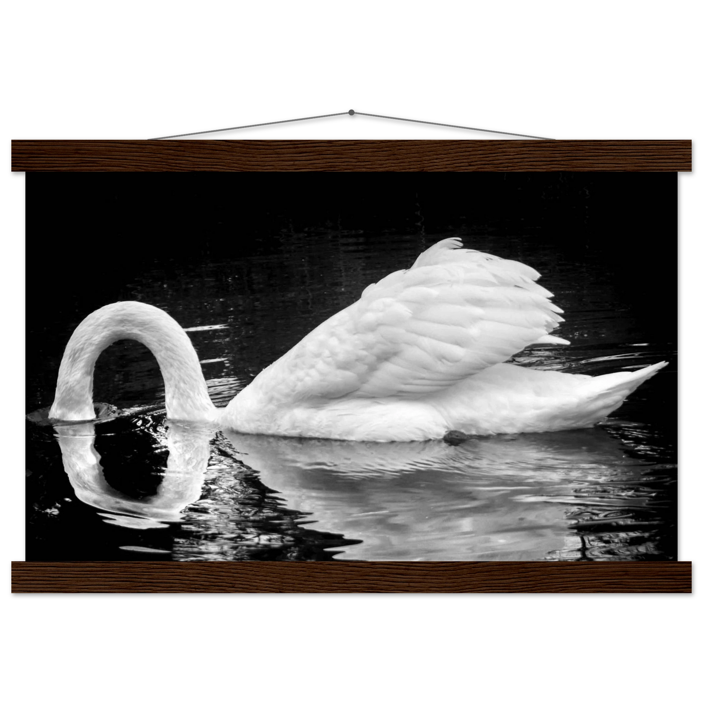 b49c473a-8e1c-4d4e-bbcd-a9464e52ab4e