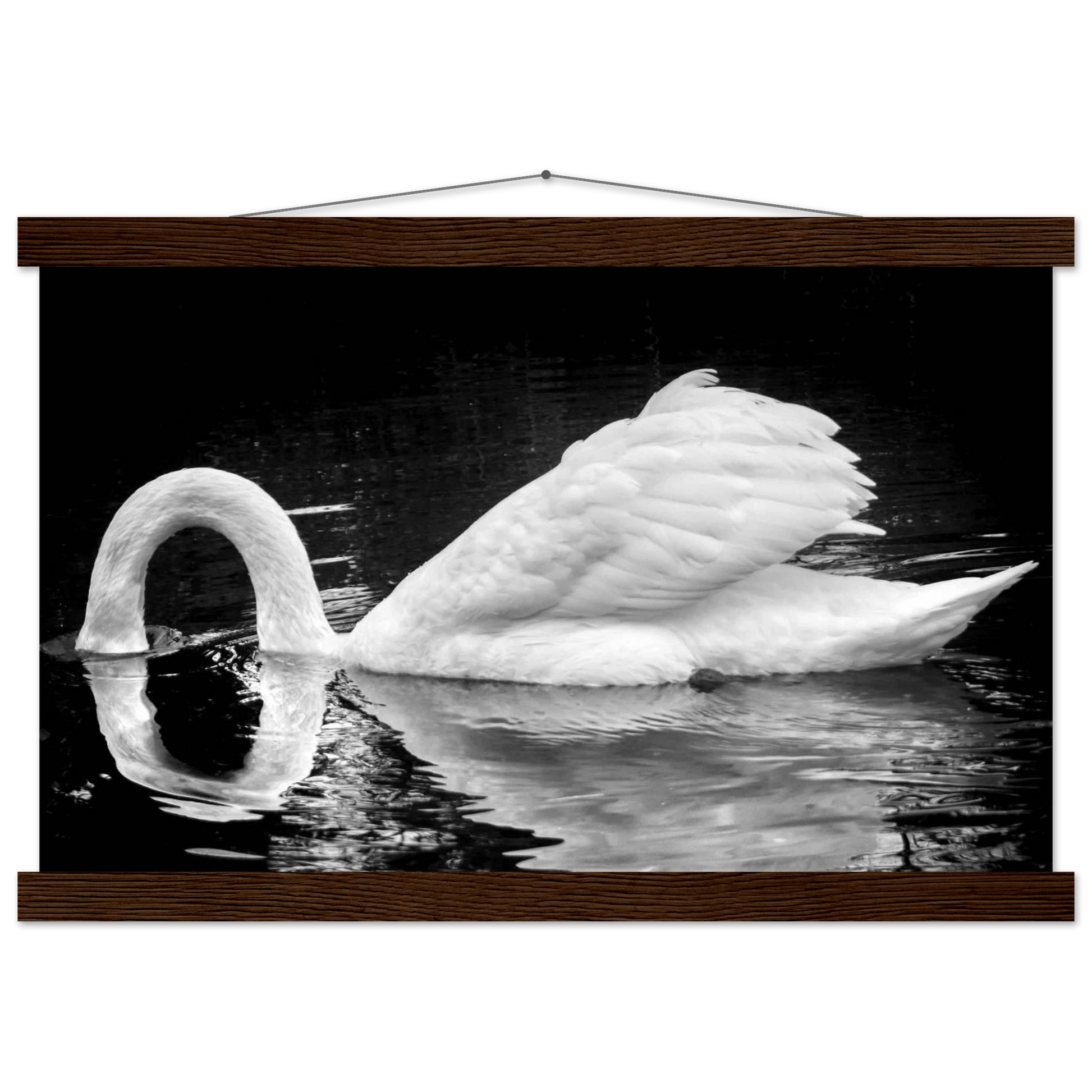 b49c473a-8e1c-4d4e-bbcd-a9464e52ab4e