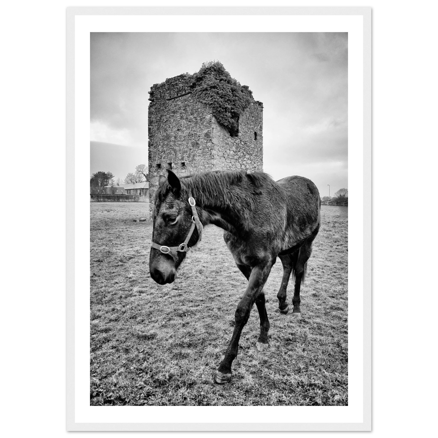 b4d13b24-c97b-4d76-a279-a68852fab736