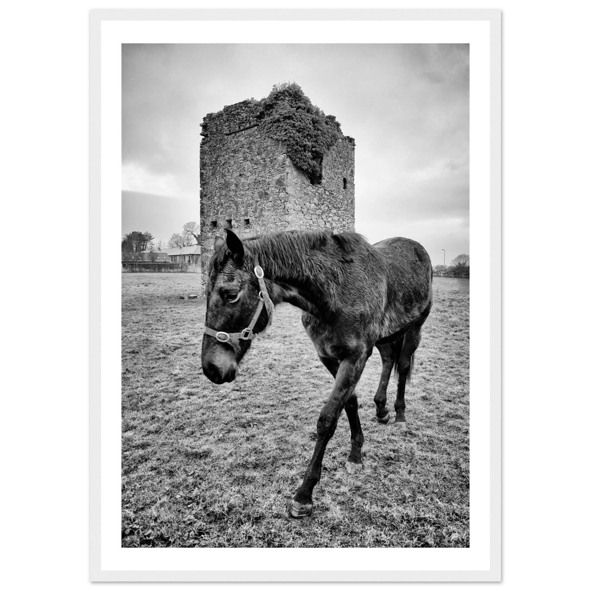 b4d13b24-c97b-4d76-a279-a68852fab736