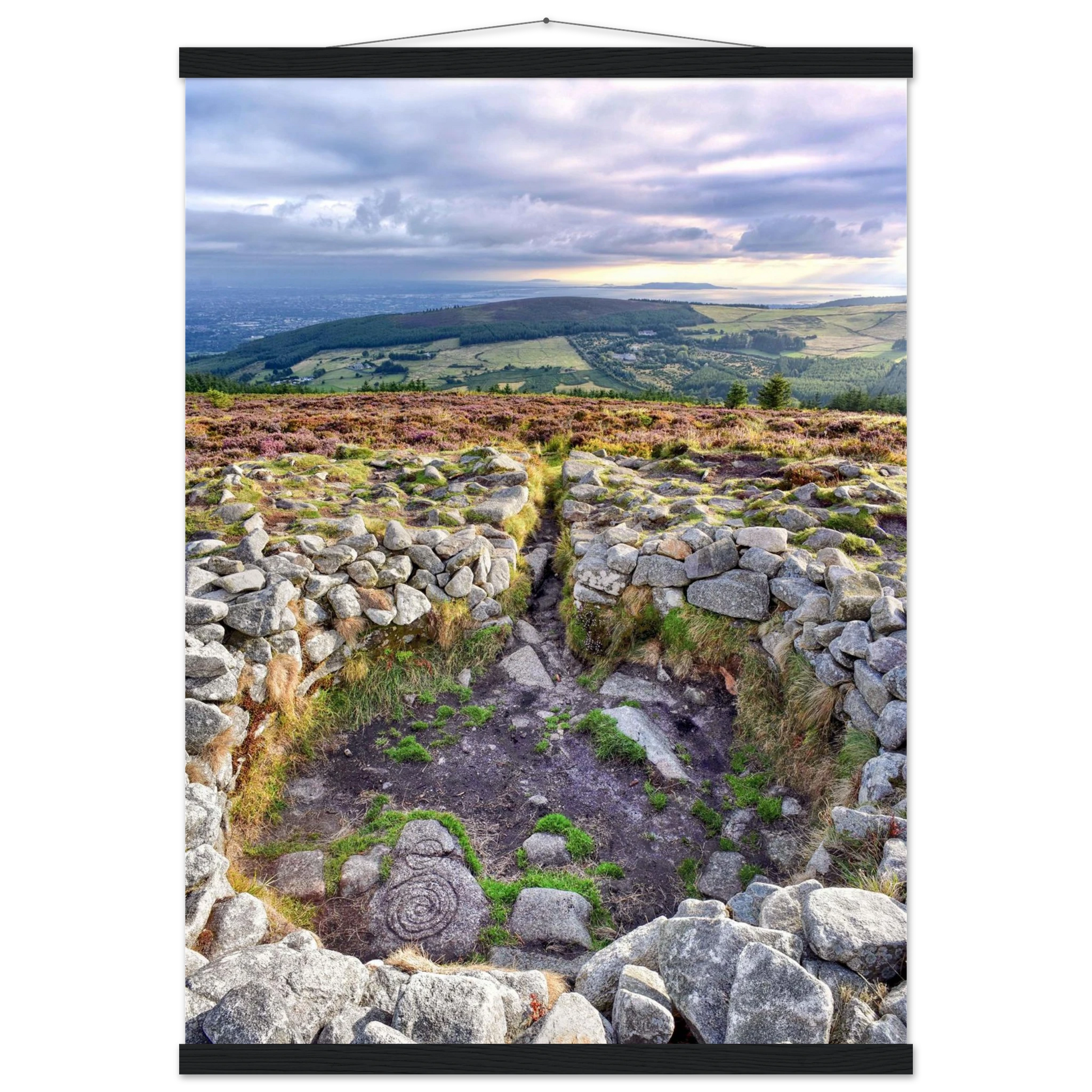 b4d4541e-3c02-4e4c-a1e4-8e8c19df1a3c