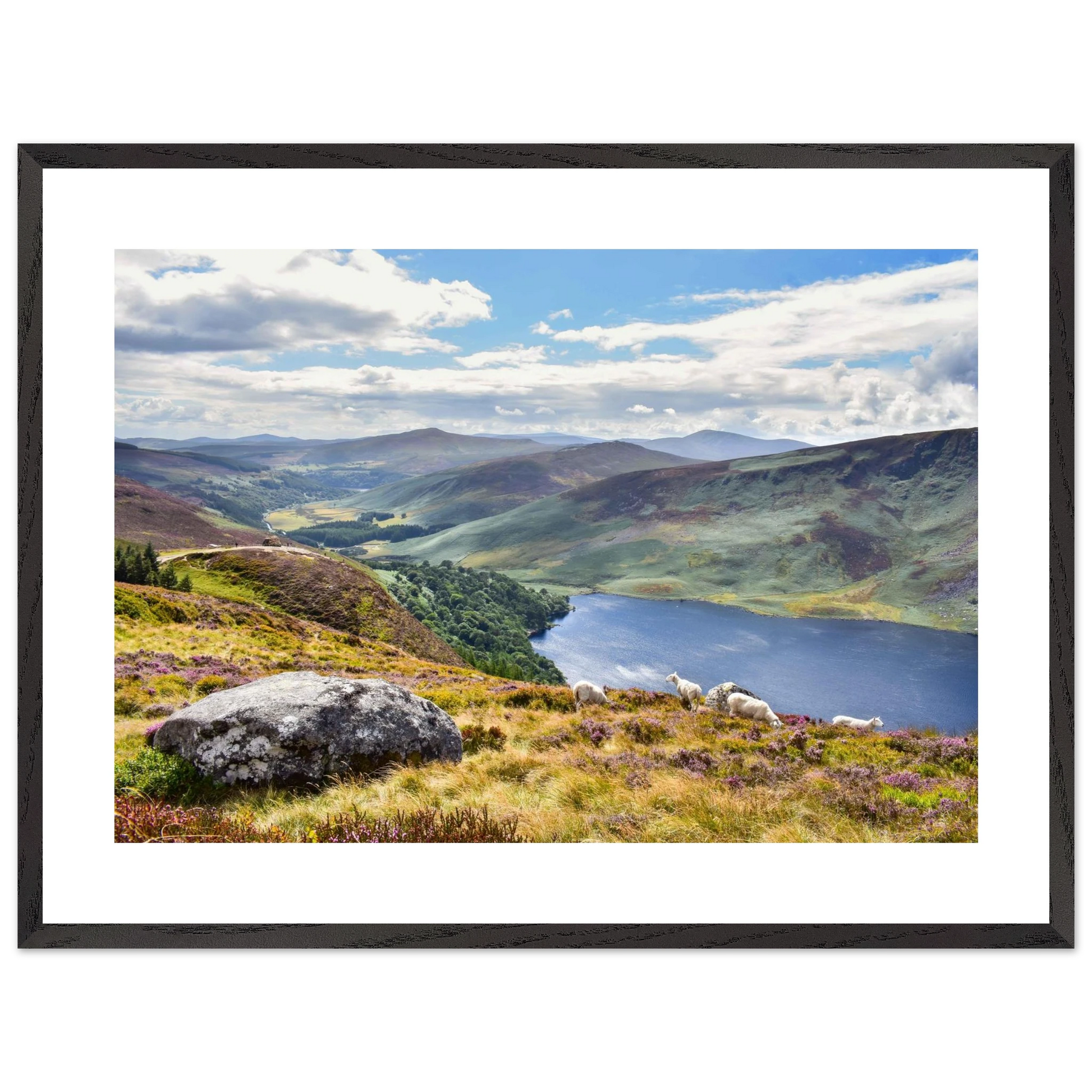 b50adfb4-9c05-400e-b5c7-731646fc3f00