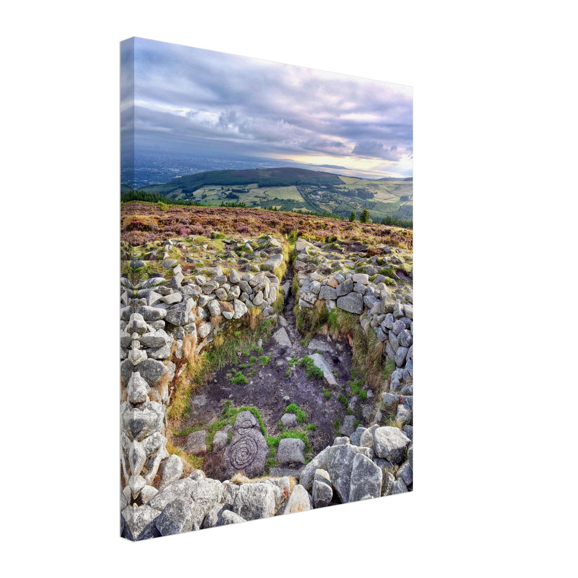 b520f5b7-331d-4841-b351-3fef94198d40